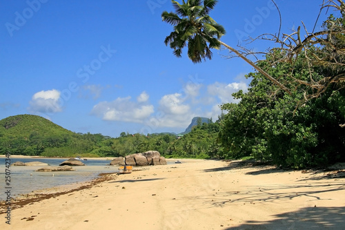 lagoon with clear blue water   beach tropical greenery and boat