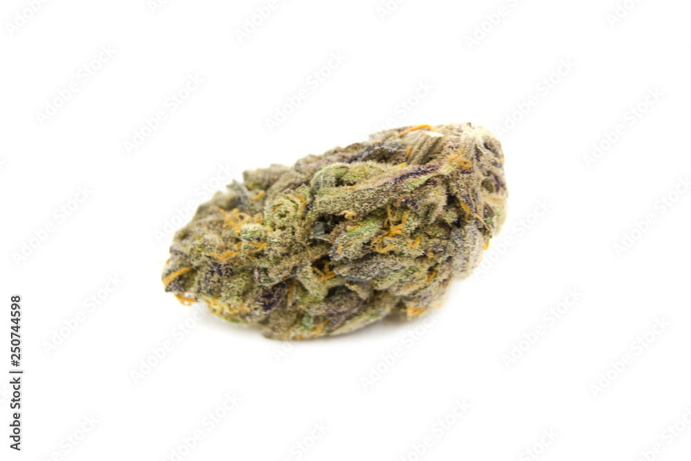 Grape D Grape D