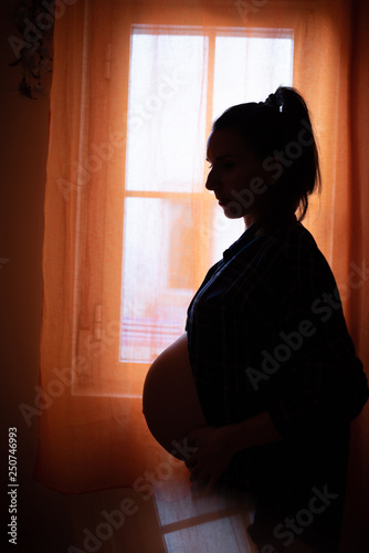 Silhouette of Pregnant Woman Standing next to the Window.
