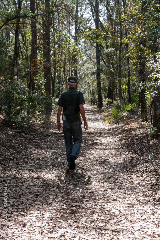 Senior man hiking in the woods on a leafy covered trail, vertical Senior man hiking in the woods on a leafy covered trail, vertical