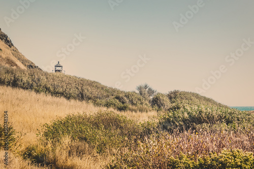 Punta Gorda Lighthouse  CA