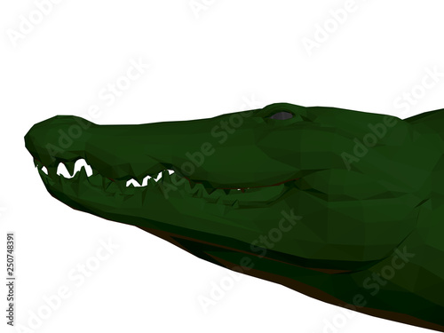 Crocodile head