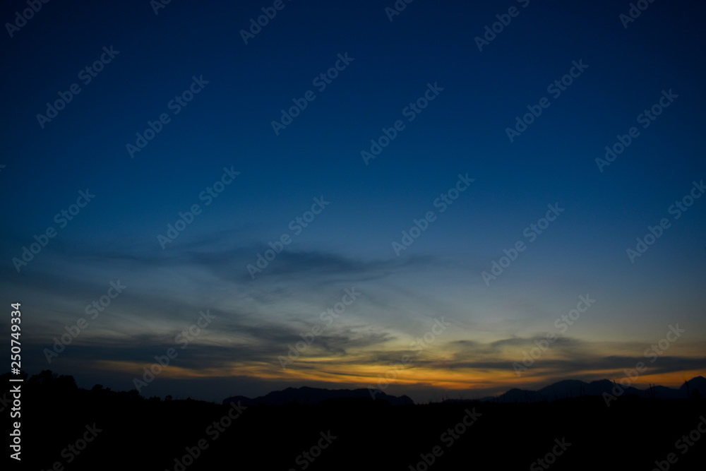 dusk sky with silhouette of tree,black vignette for text write