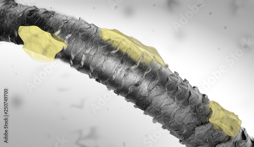 Fototapeta Naklejka Na Ścianę i Meble -  Human hair with dandruff, view to the microscope, 3D illustration