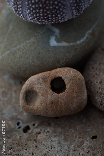 Beach Stones And Sea Shells  © Elena Ray