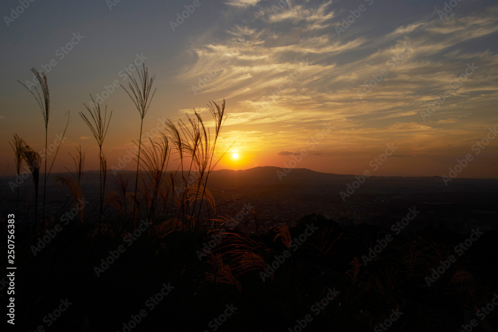 Obraz premium 奈良公園若草山からの夕景
