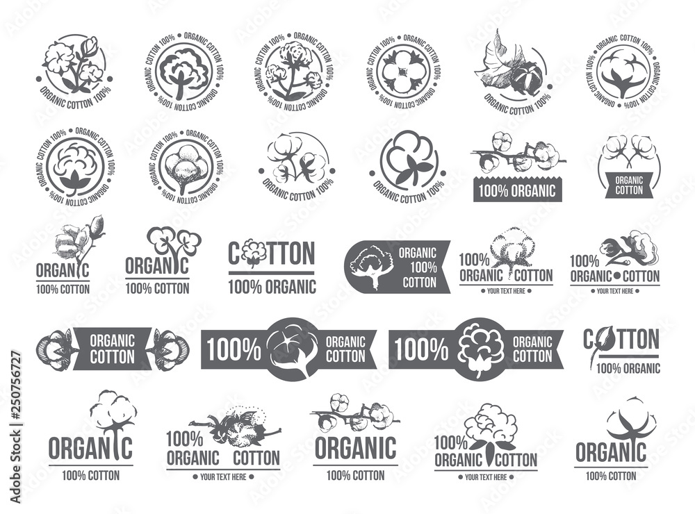 Natural organic cotton, pure cotton vector labels set. Hand drawn, typographic style icons or badges, stickers, signs. Isolated white background - obrazy, fototapety, plakaty 