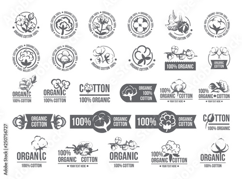 Natural organic cotton, pure cotton vector labels set. Hand drawn, typographic style icons or badges, stickers, signs. Isolated white background photo