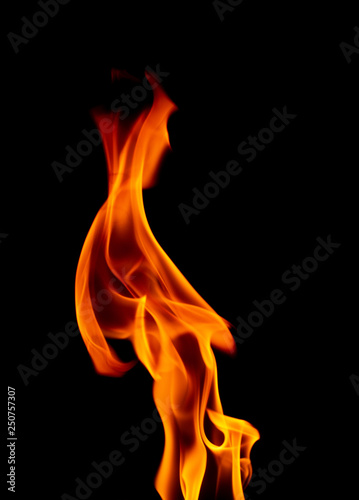 Close Up of Burning Flames on a Black Background © pamela_d_mcadams