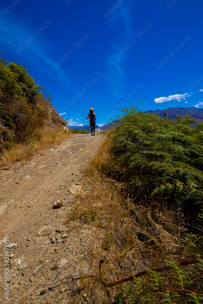 Hiking trail south island New Zealand