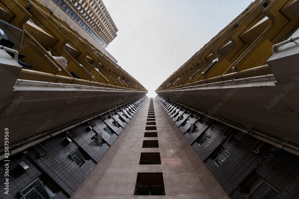 Obraz premium Looking up perspective