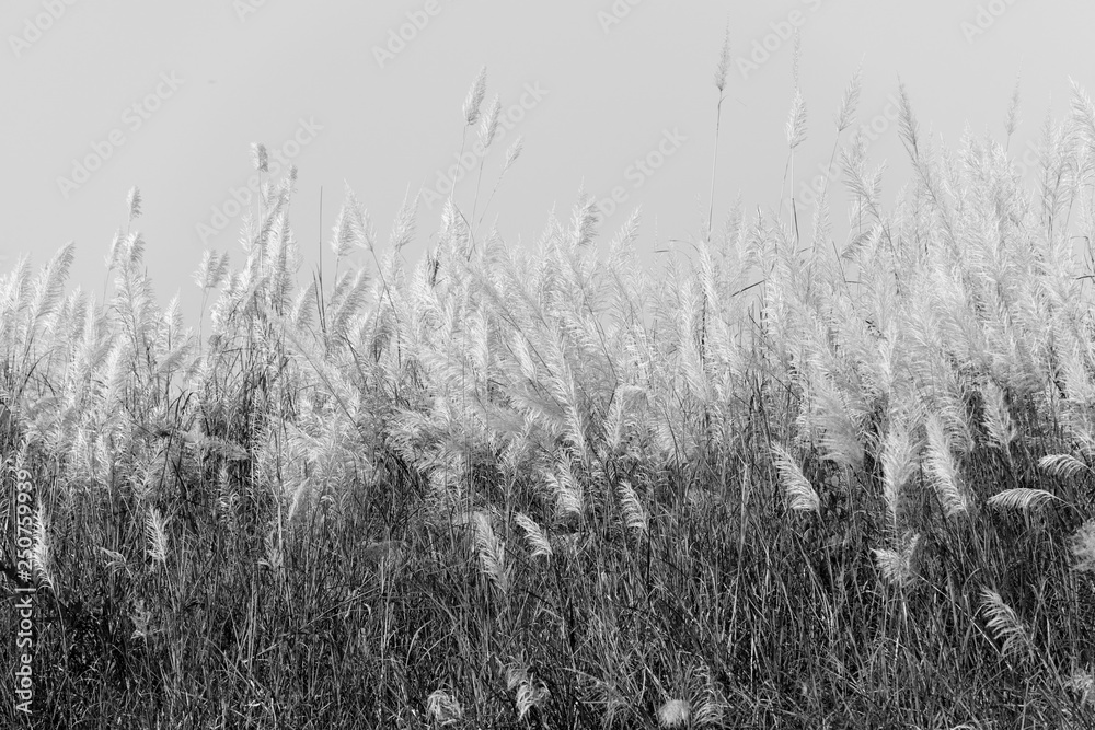 Obraz premium Inle Lake, Myanmar, Burma