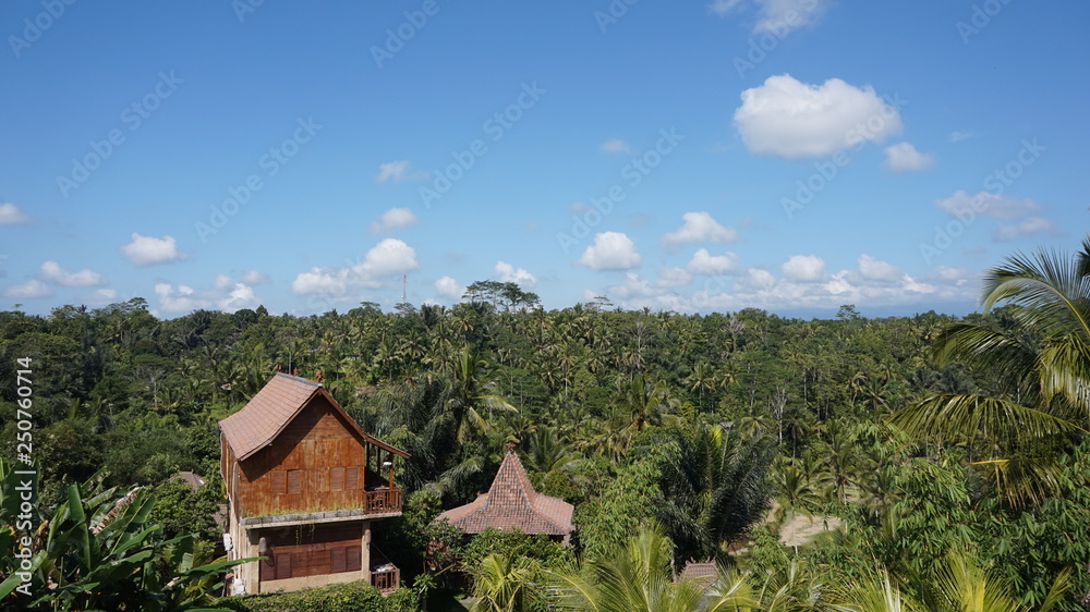 Peaceful house