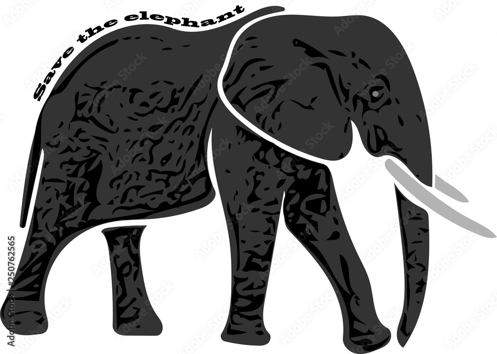 Save the elephant Save the elephant