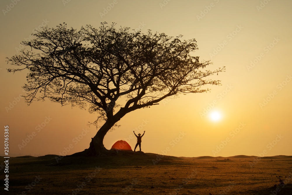 Man in camping site under the tree with sunset background