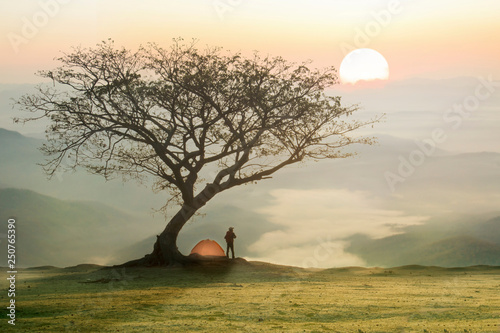 Fototapeta Naklejka Na Ścianę i Meble -  Man in camping site under the tree with sunset or sunrise background