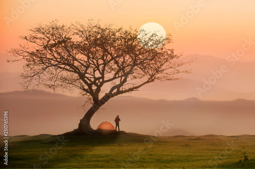 Man in camping site under the tree with sunset or sunrise background © ittipol