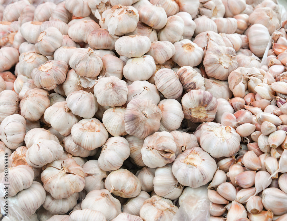 pile of dried garlic texture background pile of dried garlic texture background