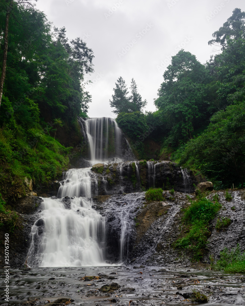 Obraz premium Waterfall in the forest