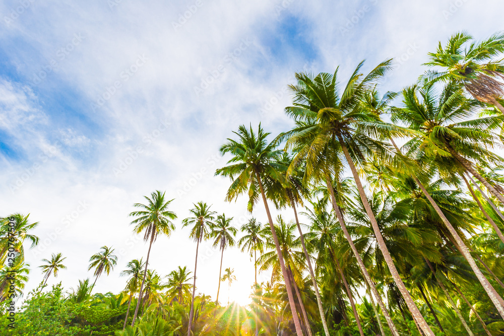 Beautiful idyllic tropical sea beach