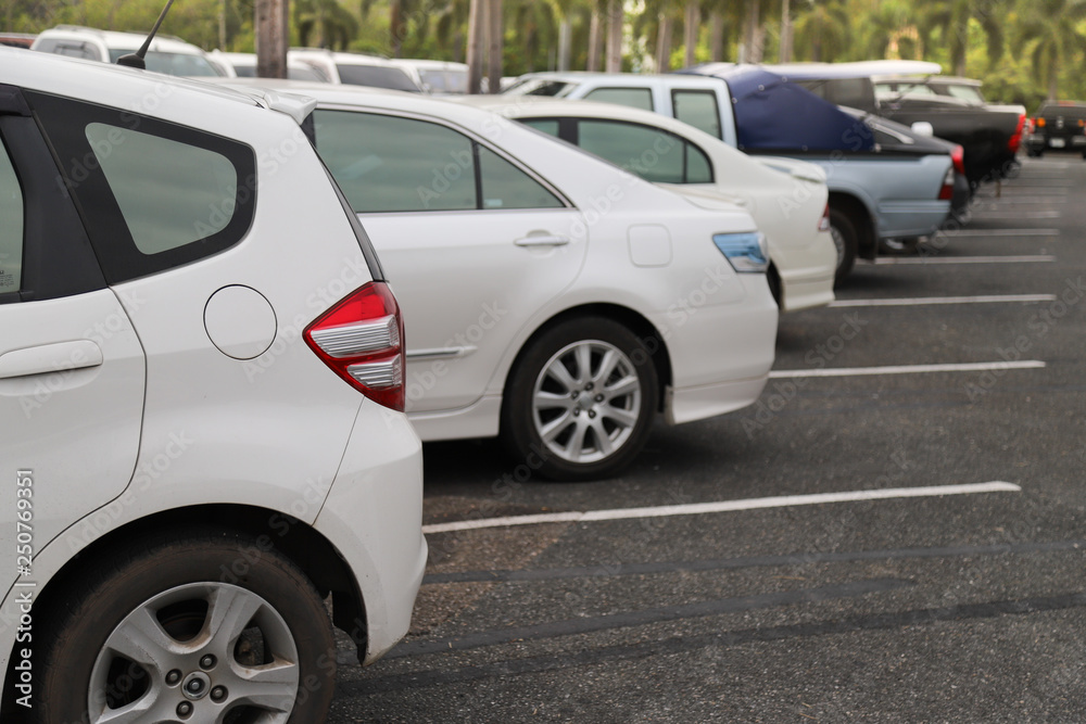 Closeup of back or rear side of white car and other cars parking in parking area in twilight evening of sunny day. 