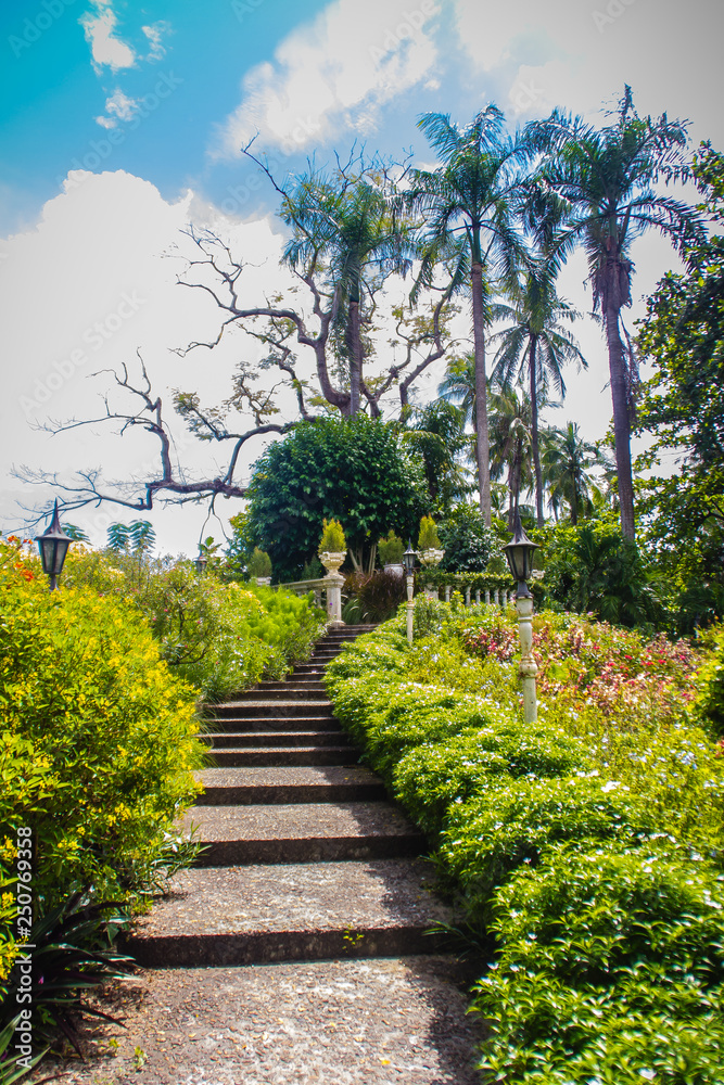 Green summer public park garden with stairs step to blue sky in the cloudy day. Beautiful day light in public park with staircase and fresh tree.