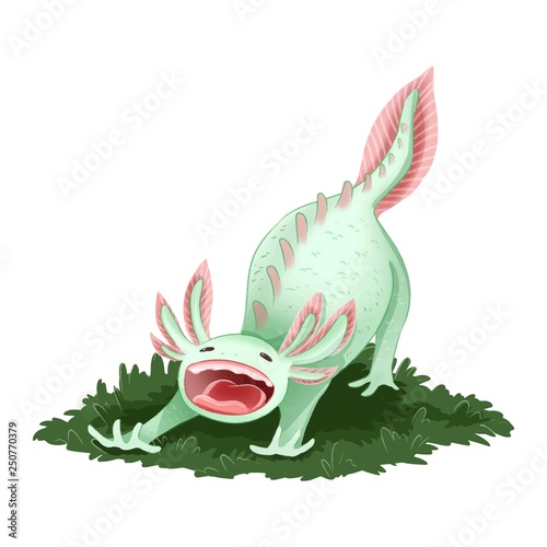 Cute Axolotl isolated image. Yawning triton image