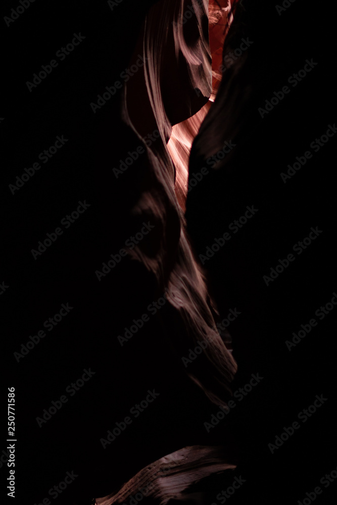 Obraz premium Silhouette