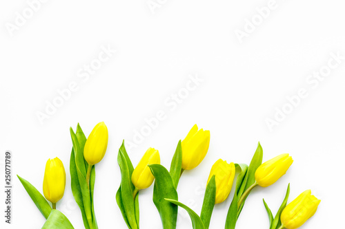 Spring flowers. Yellow tulips on white background top view copy space border