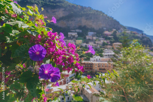 Flowers and houses on mountains in the town of Positano, along the Amalfi Coast, Italy