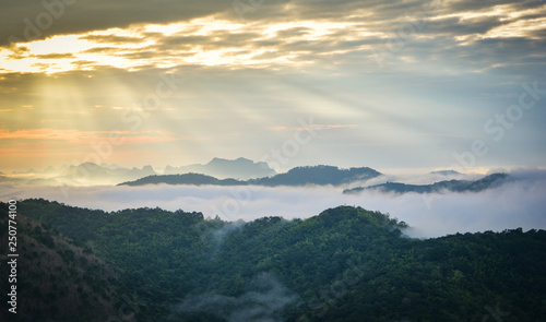 Morning scene sunrise landscape beautiful on hill with fog misty cover forest and mountain