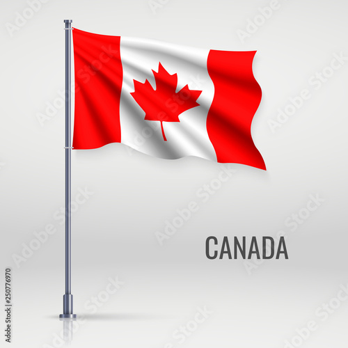 Waving flag on flagpole