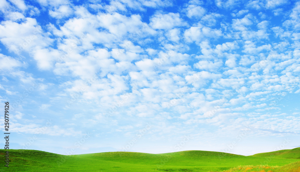 Sunny summer landscape. Spindrift clouds. Cirrus clouds against the blue sky above the hills covered with green fresh grass Sunny summer landscape. Spindrift clouds. Cirrus clouds against the blue sky above the hills covered with green fresh grass