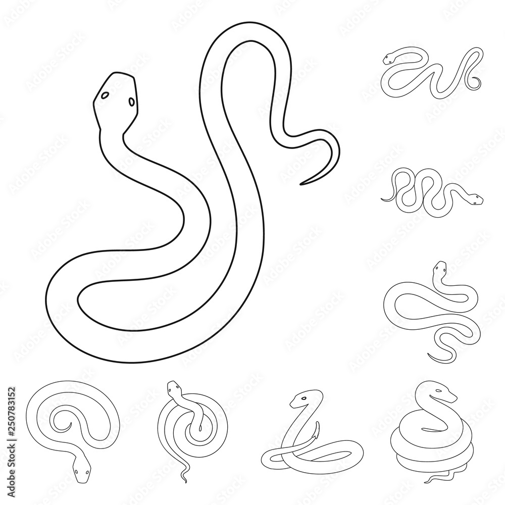 Fototapeta premium Vector design of poison and evil icon. Collection of poison and bite vector icon for stock.