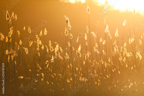 landscapes in orange