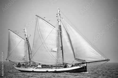 black and white sailboat