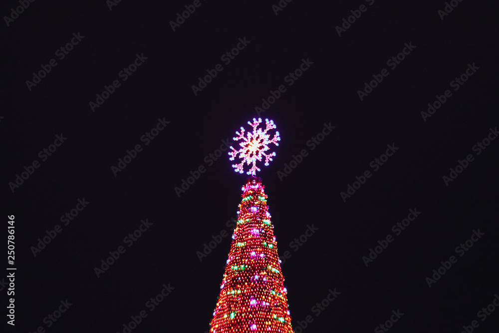 Obraz premium New Year.