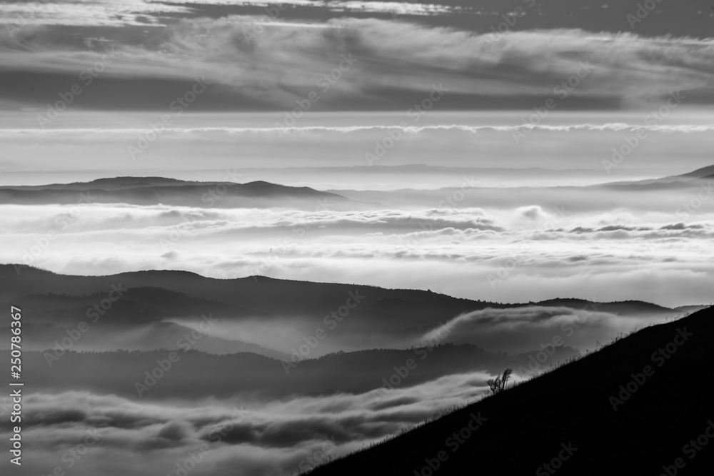 Fototapeta premium Beautiful view of Umbria valley (Italy) covered by a sea of fog, with trees silhouettes in the foreground