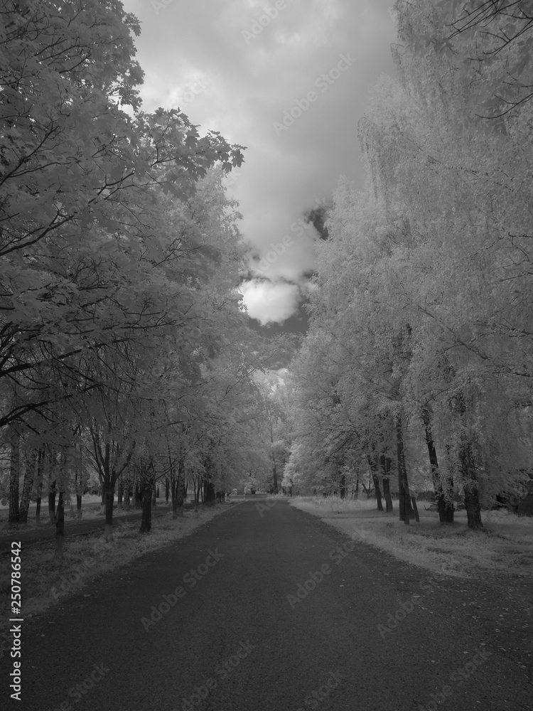Obraz premium Infra red photography IR photo