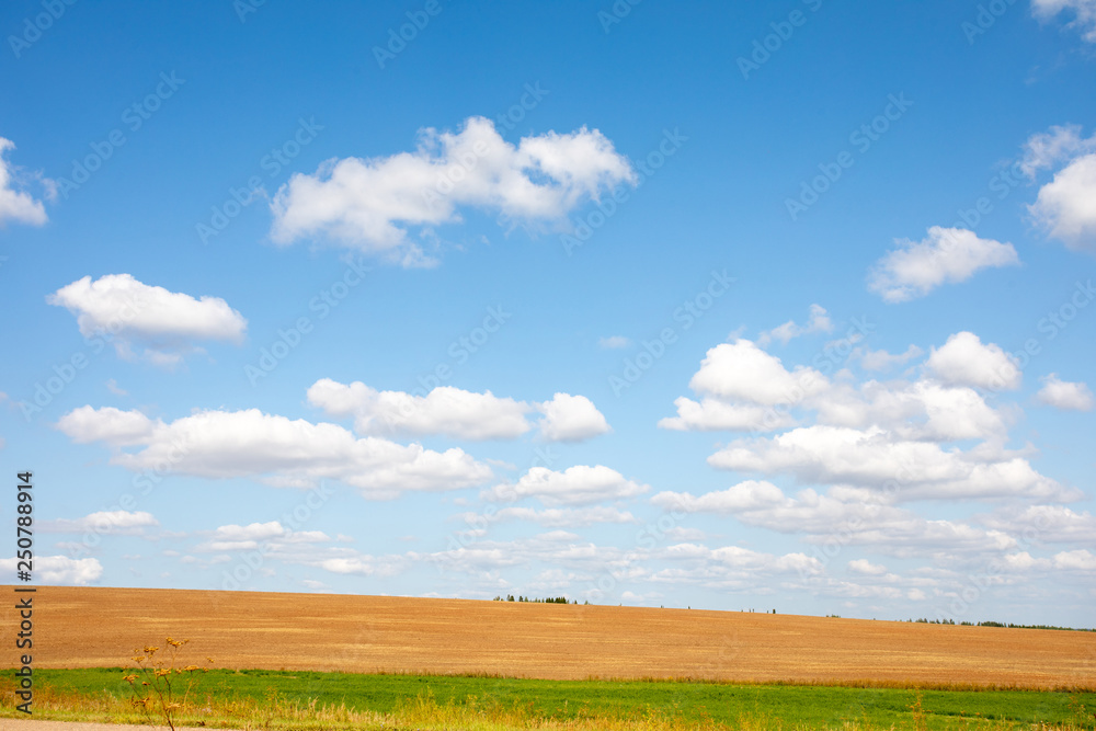 Beautiful rural summer landscape with sky and greenery