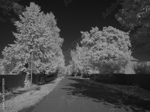 Infra red photography IR photo