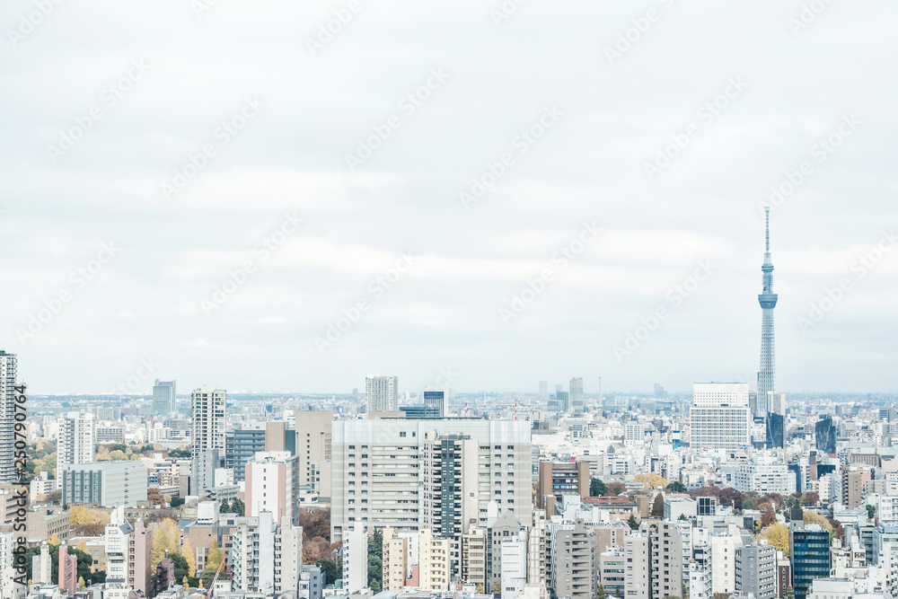 Fototapeta premium panoramic city skyline view in Tokyo, Japan