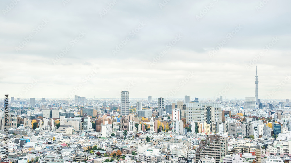 panoramic city skyline view in Tokyo, Japan panoramic city skyline view in Tokyo, Japan
