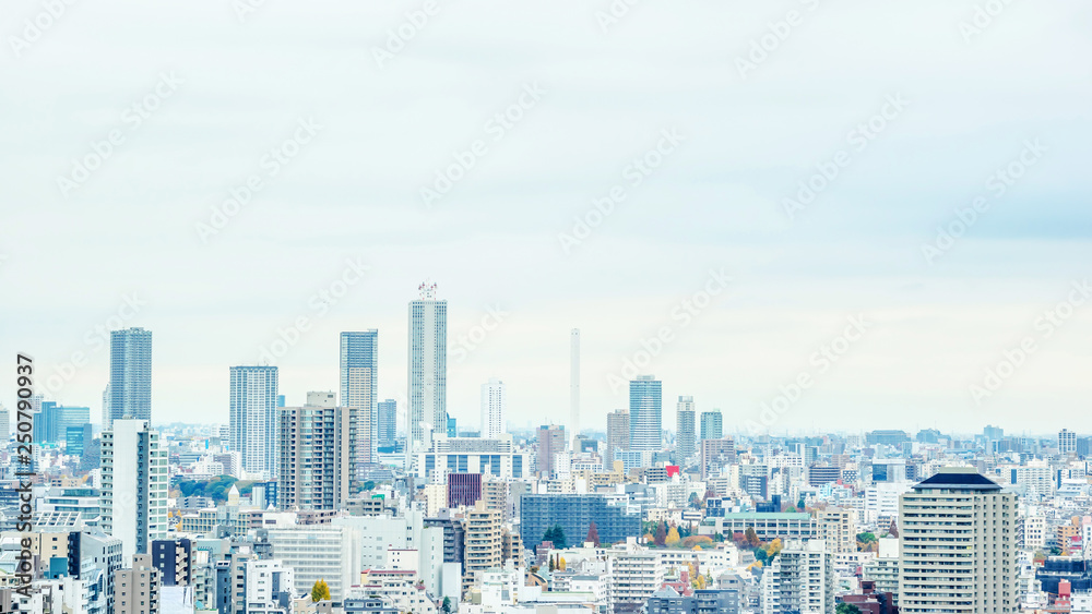 Naklejka premium panoramic city skyline view in Tokyo, Japan