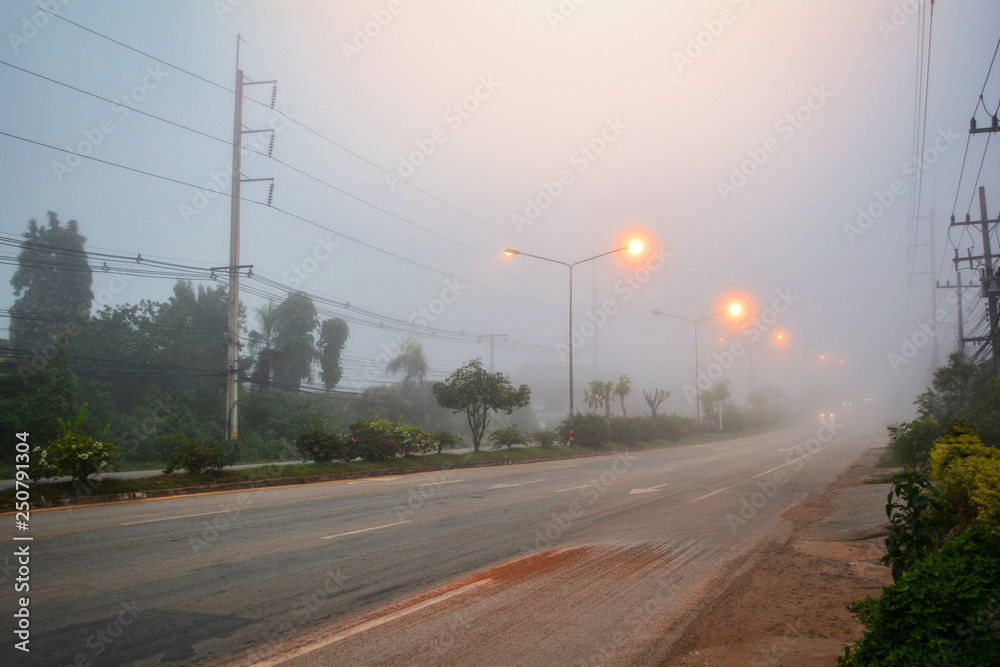 foggy road in the morning / street mist with cars in the fog with light street lamp