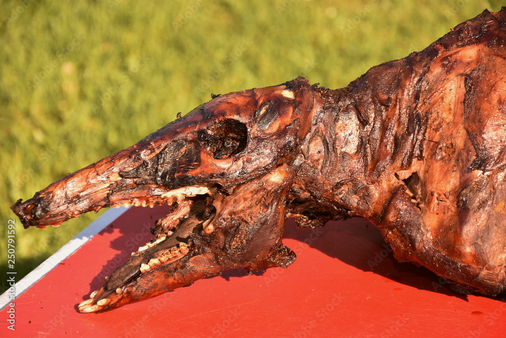 Obraz premium Roasting wild boar, Wild Boar grilling on the spit