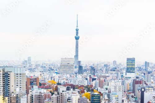 panoramic city skyline view in Tokyo, Japan © voyata