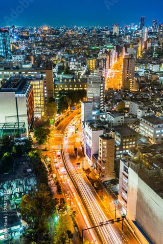 panoramic city skyline night view in Tokyo, Japan