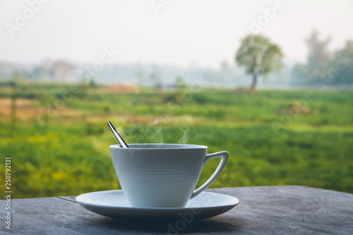 A hot coffee cup on wooden table with meadow scenic view