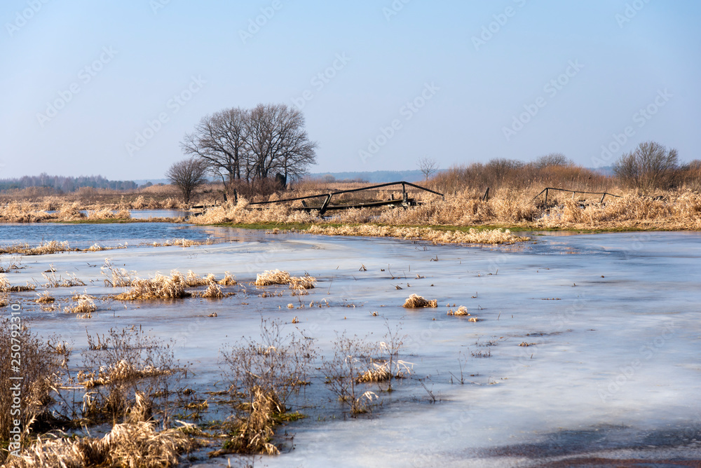 Fototapeta premium Landscape with a small bridge and a tree in the background